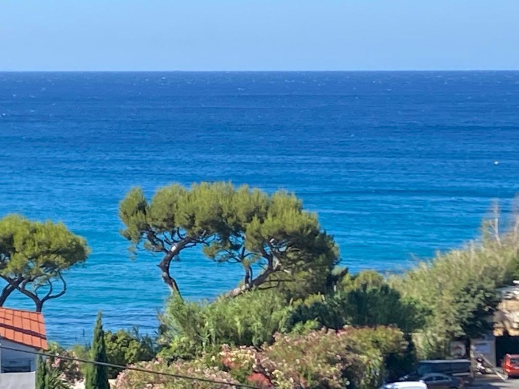 Face A La Mer, Cassis Et Son Cap Canaille المظهر الخارجي الصورة
